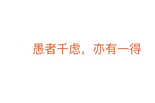 愚者千虑,亦有一得
