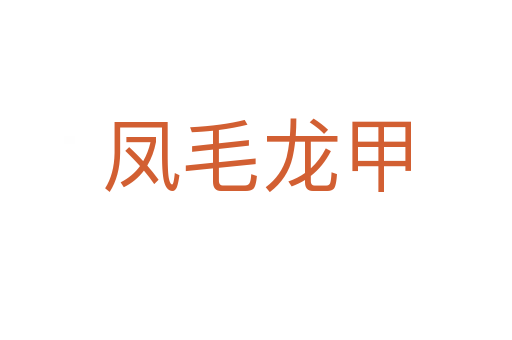 凤毛龙甲
