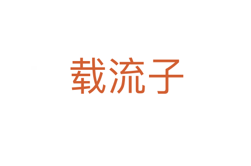 载流子