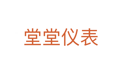 堂堂仪表