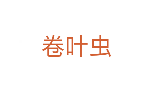 卷叶虫