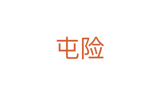 屯险