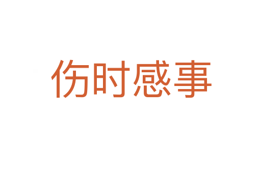 伤时感事