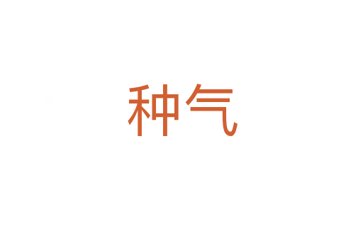 种气