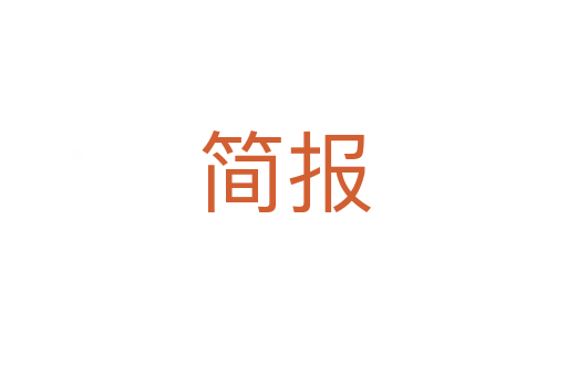 简报