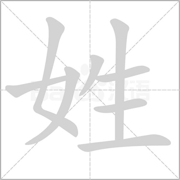 姓的笔顺动画演示