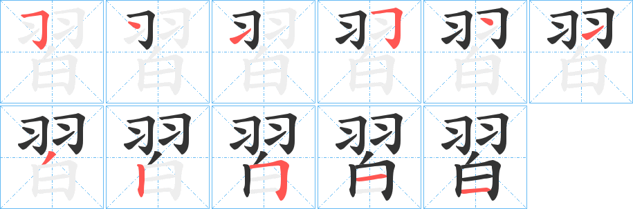 習的笔顺分步演示